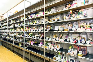 横浜市 公式 よこはま動物葬儀センター ペット火葬 ペット葬儀社 昭和47年創業